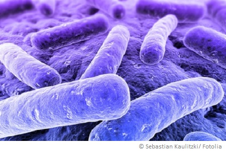 pseudomonas-aeruginosa-zahnarztpraxis