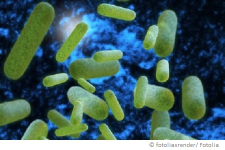 legionellen-wasseruntersuchung