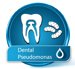 Wasseranalyse "Dental Pseudomonas"