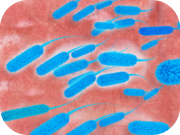 krankheitserreger-zahnarztpraxis